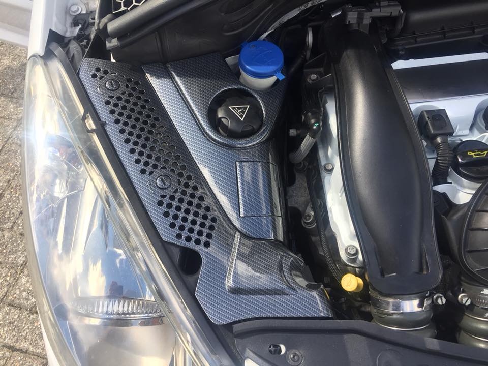peugeot 207 carbon hydrodip www.fsb-dip.nl