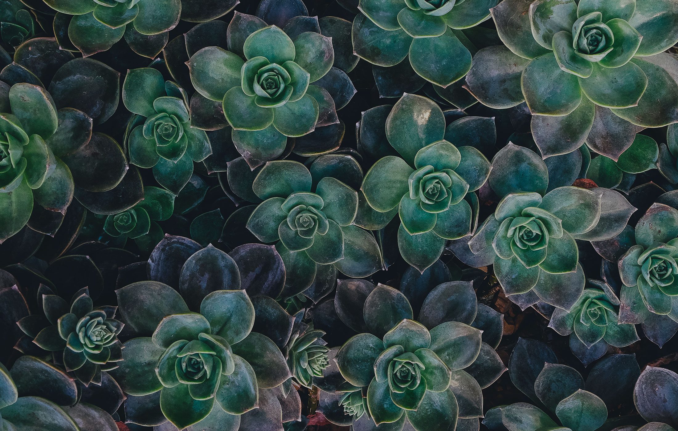 Agency 07 E1580850148194