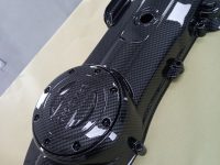 vespa sprint carter deksel carbon hydrodip fsb-dip.nl